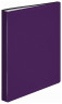 Папка с 80 прозр.вклад. Бюрократ DeLuxe DLVBOX80BBERRY A4 пластик 0.7мм черничный в коробе