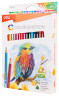 Карандаши цв. Deli EC00230 Color Emotion трехгран. липа 36цв. коробка/европод. (36шт)