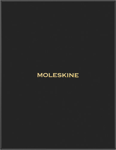 Блокнот Moleskine LIMITED EDITION PRECIOUS & ETHICAL BOA QP621K54VBOABOX XLarge 176стр. линейка мягкая обложка подар.кор. темно-зеленый
