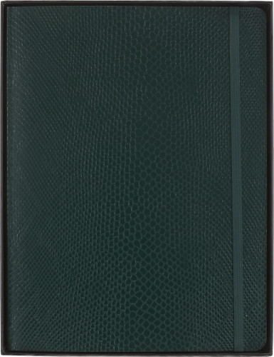 Блокнот Moleskine LIMITED EDITION PRECIOUS & ETHICAL BOA QP621K54VBOABOX XLarge 176стр. линейка мягкая обложка подар.кор. темно-зеленый