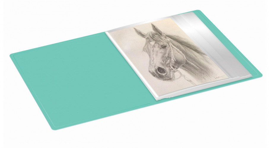 Папка с 40 прозр.вклад. Бюрократ Pastel PAST40GRN A4 пластик 0.5мм торц.карм с бум. встав мятный