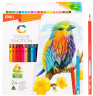 Карандаши цв. Deli EC00220 Color Emotion трехгран. липа 24цв. коробка/европод. (24шт)