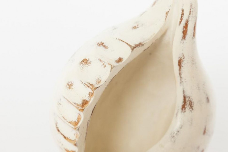 Декор ракушка Secret De Maison SHELL ( mod. MA-1398  ) , дерево манго, 12,7х11,4х40,6см, Натуральный + white wash