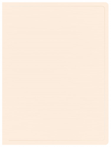 Папка с 100 прозр.вклад. Бюрократ DeLuxe DLVBOX100MILK A4 пластик 0.7мм молочный в коробе