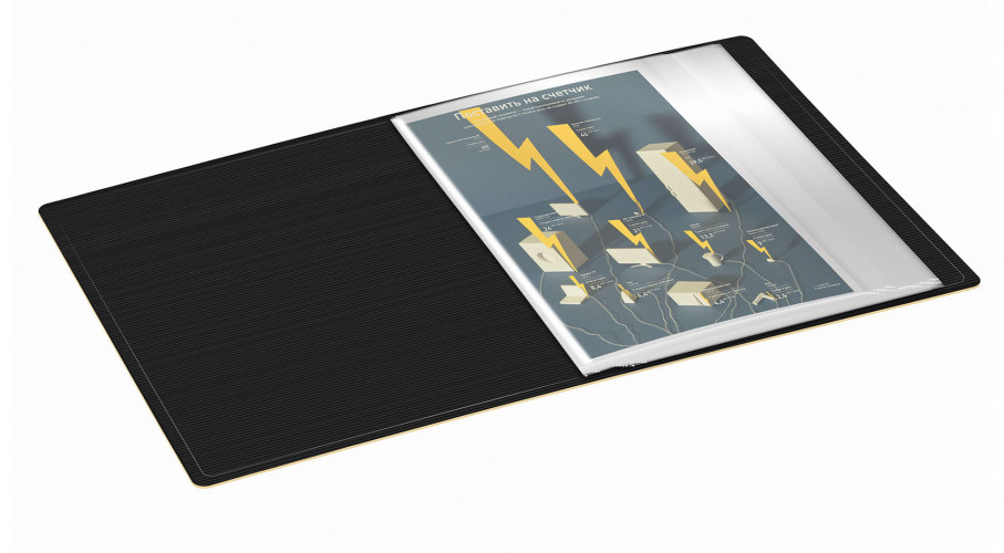 Папка с 100 прозр.вклад. Бюрократ DeLuxe DLVBOX100MILK A4 пластик 0.7мм молочный в коробе