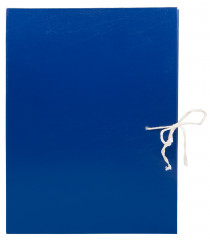 Короб архивный 2 завязки Silwerhof КБЗ-2-80Р бумвинил корешок 80мм разобранный A4 ассорти