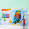 Карандаши цв. Deli EC00235 Color Emotion липа 36цв. мет.кор. (36шт)