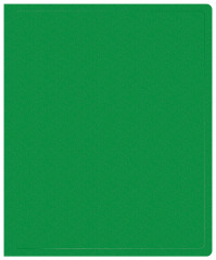 Папка на 2-х кольцах Buro -ECB413/2RGREEN A4 пластик 0.5мм зеленый