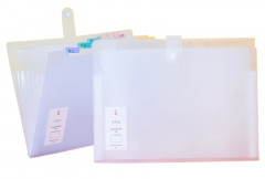 Папка-портфель Deli 5735 на кнопке 8 отдел. A4 пластик ассорти