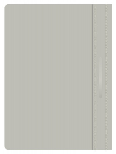 Папка-скоросшиватель Buro -PSE20BU/GREY A4 прозрач.верх.лист пластик серый 0.11/0.13