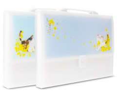 Папка-портфель Deli 72579 13 отдел. A4 с окантовкой полипропилен ассорти