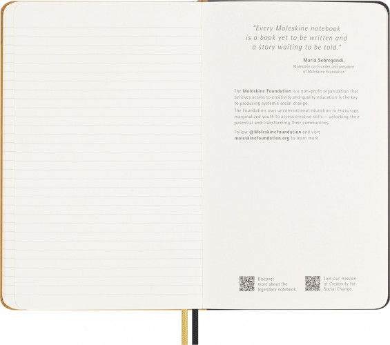 Блокнот Moleskine LIMITED EDITION YEAR OF THE DRAGON LECNYDRAGONQP060AS Large 130х210мм обложка текстиль 176стр. линейка подар.кор. золотистый Ahn Sang Soo