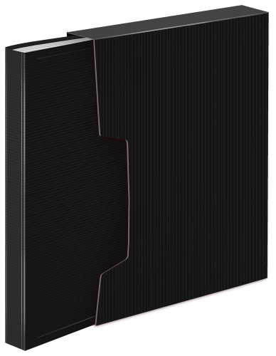 Папка с 80 прозр.вклад. Бюрократ DeLuxe DLVBOX80BLCK A4 пластик 0.7мм черный в коробе