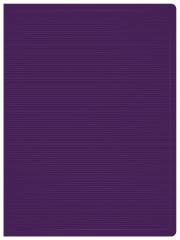 Папка с 20 прозр.вклад. Бюрократ DeLuxe DLV20BBERRY A4 пластик 0.7мм черничный