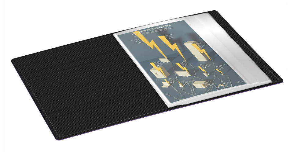 Папка с 20 прозр.вклад. Бюрократ DeLuxe DLV20BBERRY A4 пластик 0.7мм черничный