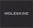 Шильд-символ Moleskine Zodiac Рыбы металл золотистый коробка с европод. PINPISCESGOLD