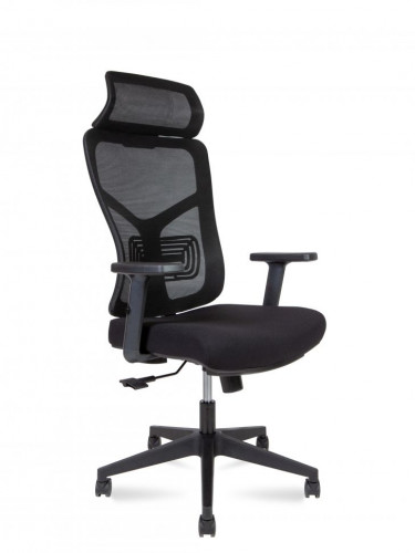 Кресло руководителя  Asper 165A-B-BB