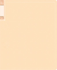 Папка с 20 прозр.вклад. Бюрократ Gems GEM20CREAM A4 пластик 0.7мм торц.карм с бум. встав кремовый жемчуг