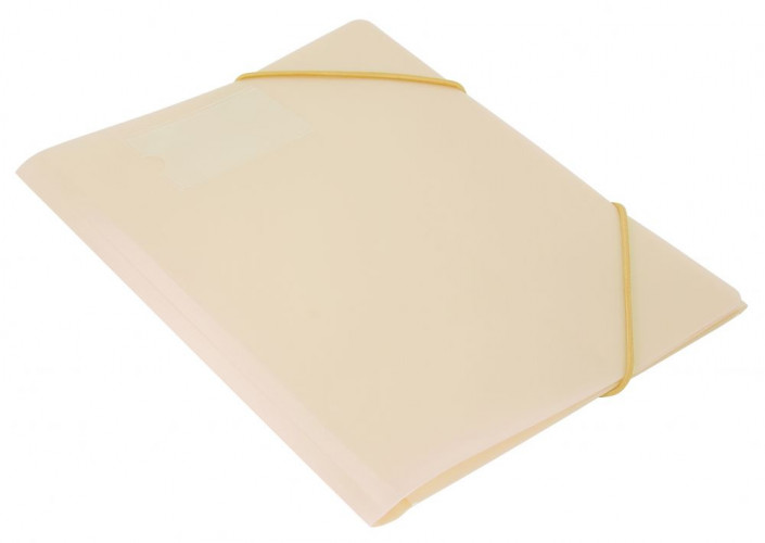 Папка на резинке Бюрократ Gems GEMPR05CREAM A4 пластик кор.30мм 0.5мм кремовый жемчуг карман для визитки