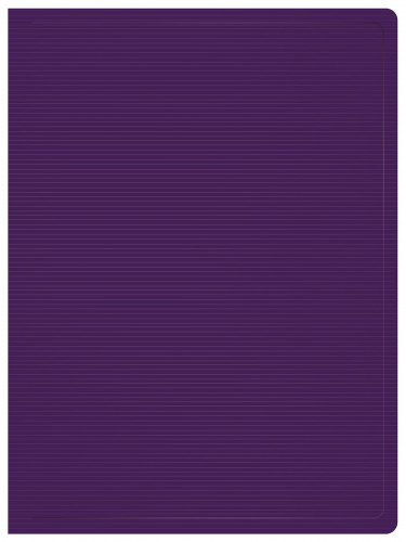 Папка с 10 прозр.вклад. Бюрократ DeLuxe DLV10BBERRY A4 пластик 0.7мм черничный