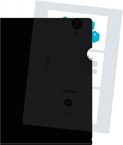 Папка-уголок Бюрократ DeLuxe DLCBLCK A4 пластик 0.18мм черный