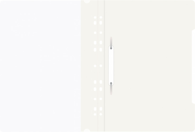 Папка-скоросшиватель Бюрократ PS-P20WH A4 прозрач.верх.лист боков.перф. пластик белый 0.12/0.16