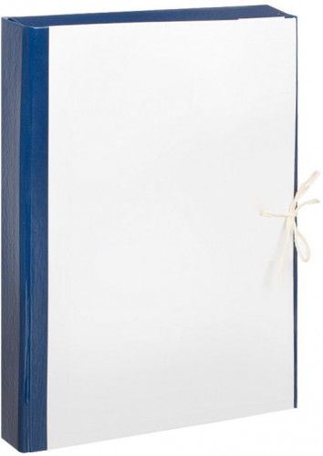 Папка архивная 4 завязки бумвинил корешок 50мм разобранный 320x230мм с гребешками