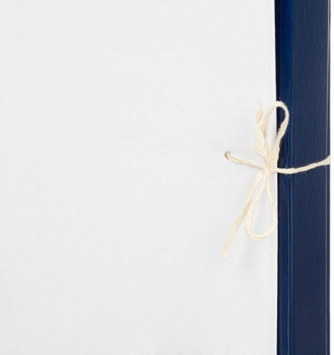 Папка архивная 4 завязки бумвинил корешок 50мм разобранный 320x230мм с гребешками