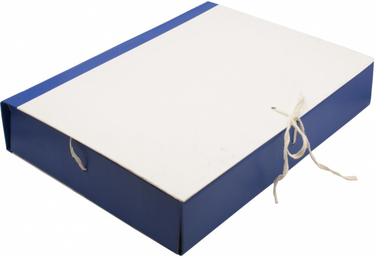 Папка архивная 4 завязки бумвинил корешок 50мм разобранный 320x230мм с гребешками