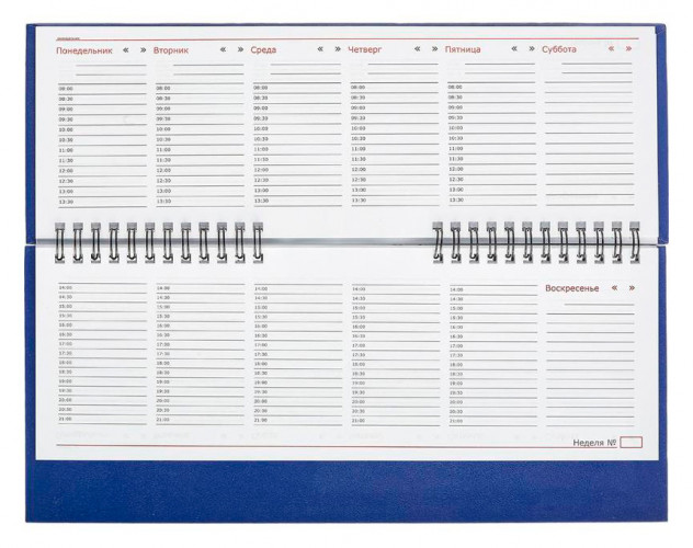 Планинг 47869 305x130мм недатир. бумвинил 64л синий