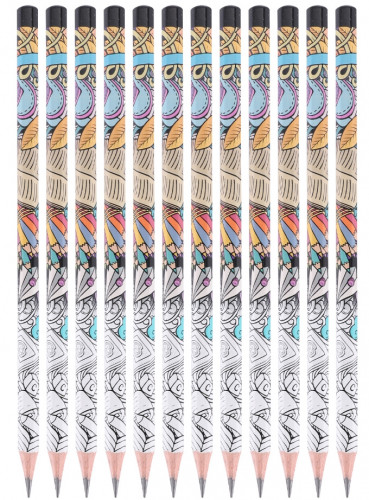 Набор карандашей ч/г Deli EU53300 Arti Graff 2B шестигран. тополь рисунок кор.европод. (12шт)